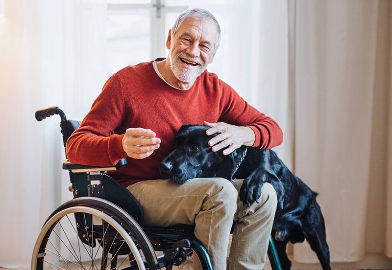 Man in wheelchair